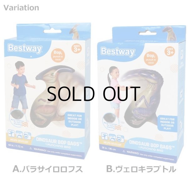 画像2: DINOSAUR BOP BAGS【全3種】