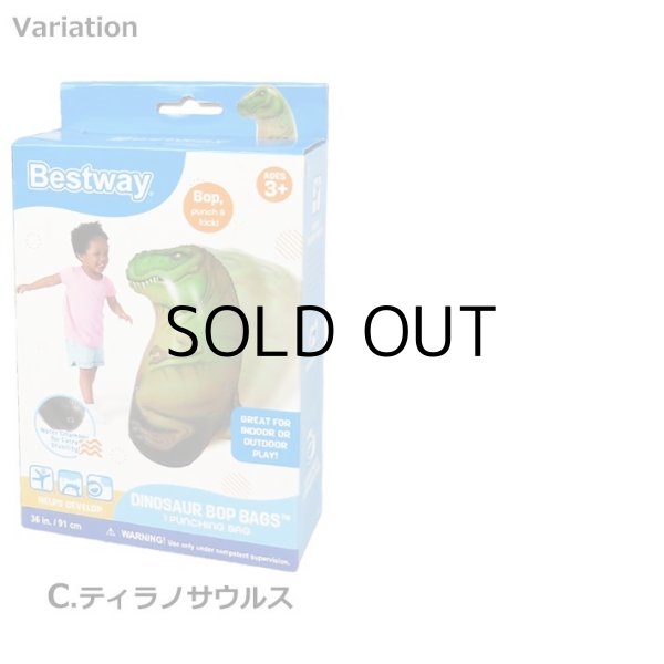 画像3: DINOSAUR BOP BAGS【全3種】