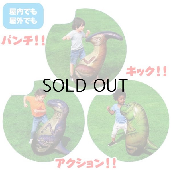 画像6: DINOSAUR BOP BAGS【全3種】