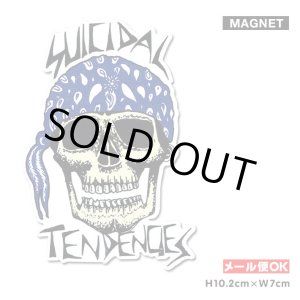 画像: SUICIDAL TENDENCIES RxCx SKULL MAGNET