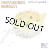 画像: PUFFER FISH SQUIRT