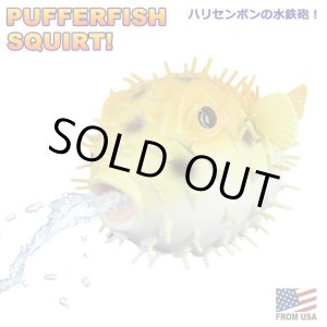 画像: PUFFER FISH SQUIRT