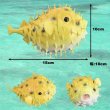 画像2: PUFFER FISH SQUIRT