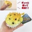 画像3: PUFFER FISH SQUIRT