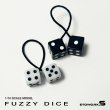 画像1: ファジーダイス（全2種）FUZZY DICE
