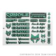 画像1: CAYOTE ステッカー レーシング用（２枚入）/ CAFS03