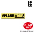 画像1: PLan B Skateboards Bumper Sticker 【メール便OK】