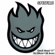 画像1: Spitfire Wheels  Devil Head 11" Sticker Grey