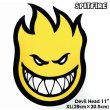 画像1: Spitfire Wheels  Devil Head 11" Sticker Yellow