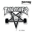画像3: Thrasher SK8 GOAT Big Board sticker【メール便OK】