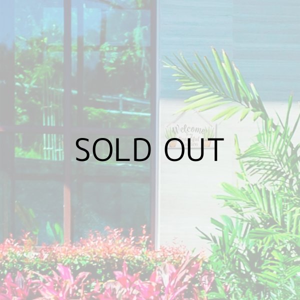 画像6: Garden Wooden Signplate【全18種】