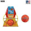 画像2: HOOPS BASKETBALL SET