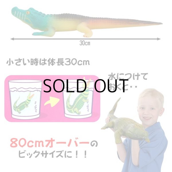 画像3: GROW CROCODILE 【全4種】