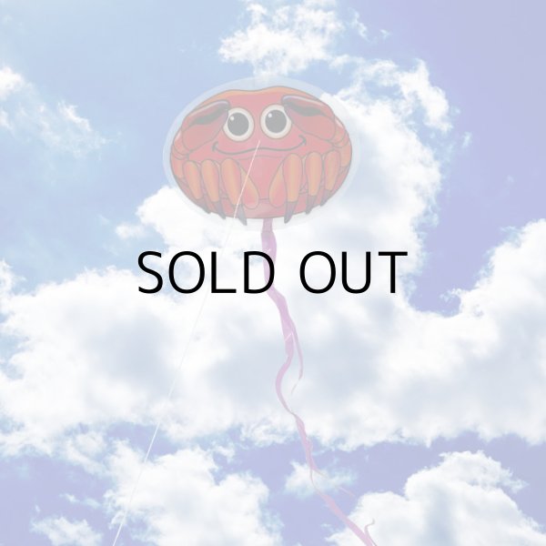 画像9: X-Kites MicroKite【全8種】【メール便OK】