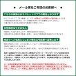 画像6: Little Trees NEW CAR SET【メール便送料無料】