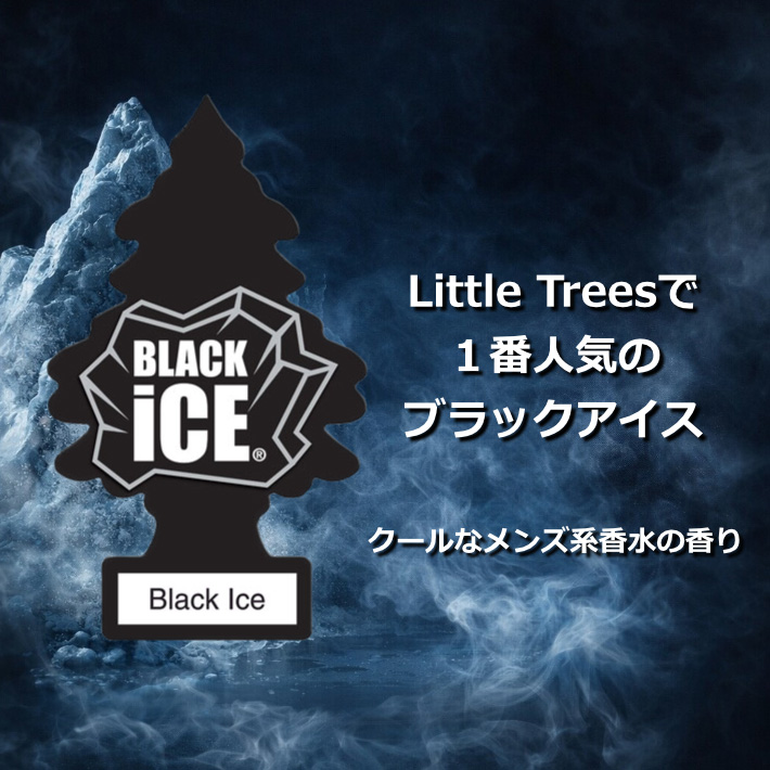 画像2: Little Trees BLACK ICE SET