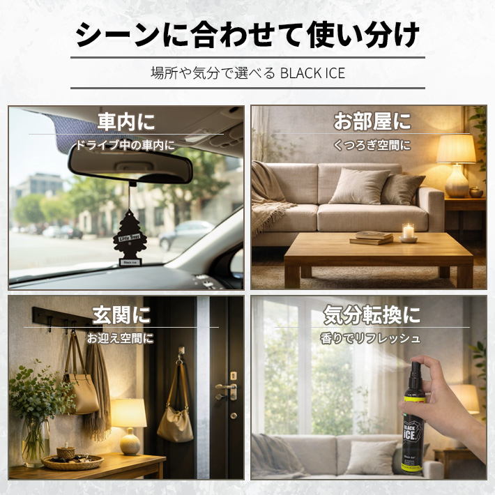 画像5: Little Trees BLACK ICE SET