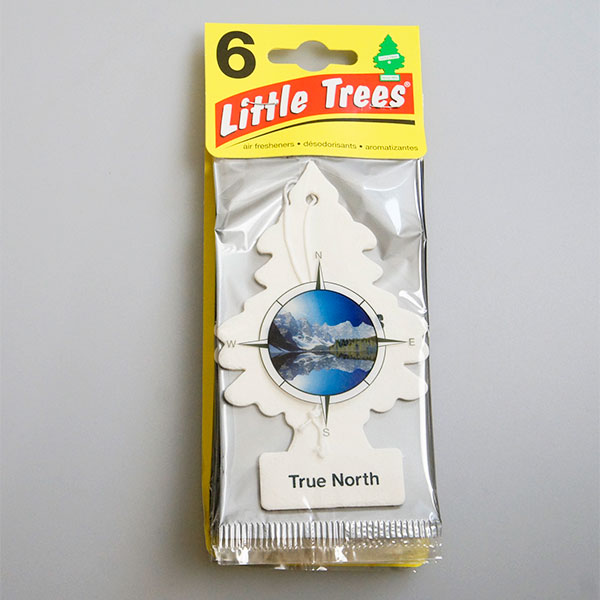 画像1: Little Trees（ True North ）6pac　【メール便OK】