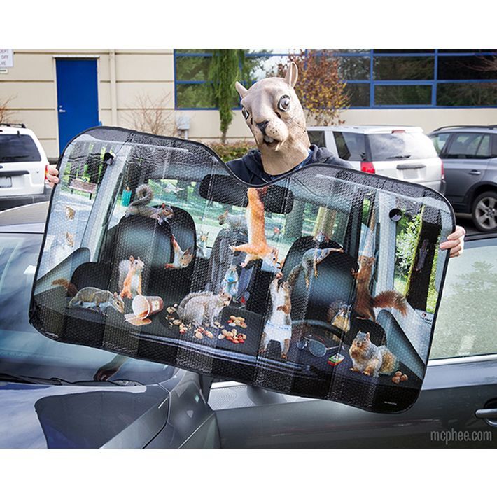 画像4: Car Full of Squirrels Auto Sunshade