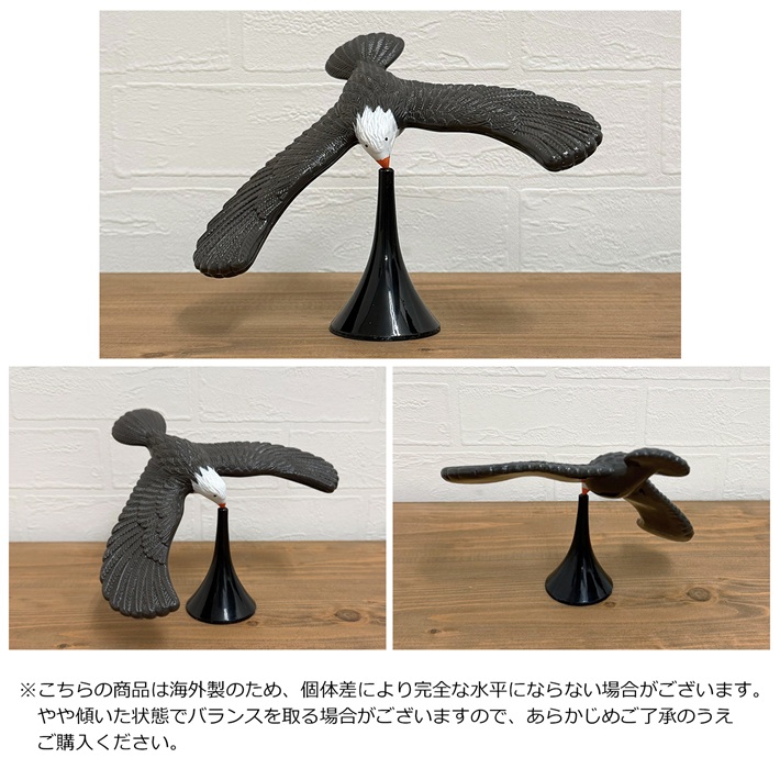 画像4: Blancing Eagle