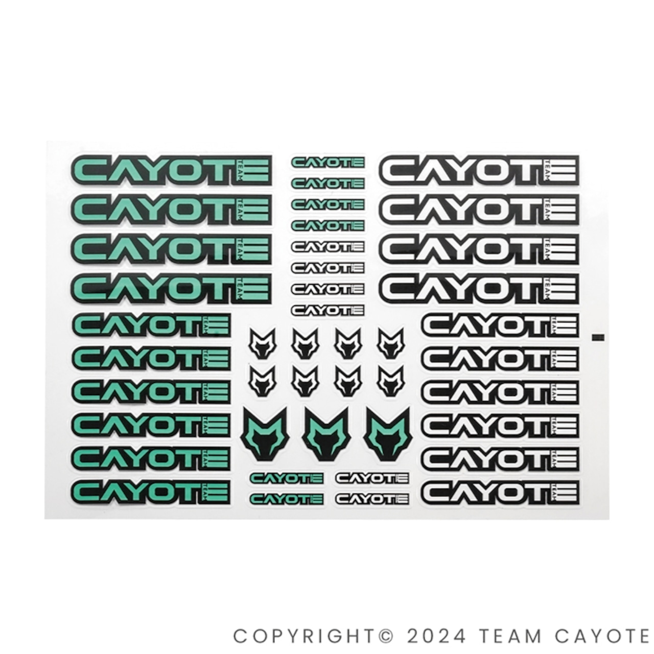 画像1: CAYOTE ステッカー レーシング用（２枚入）/ CAFS02