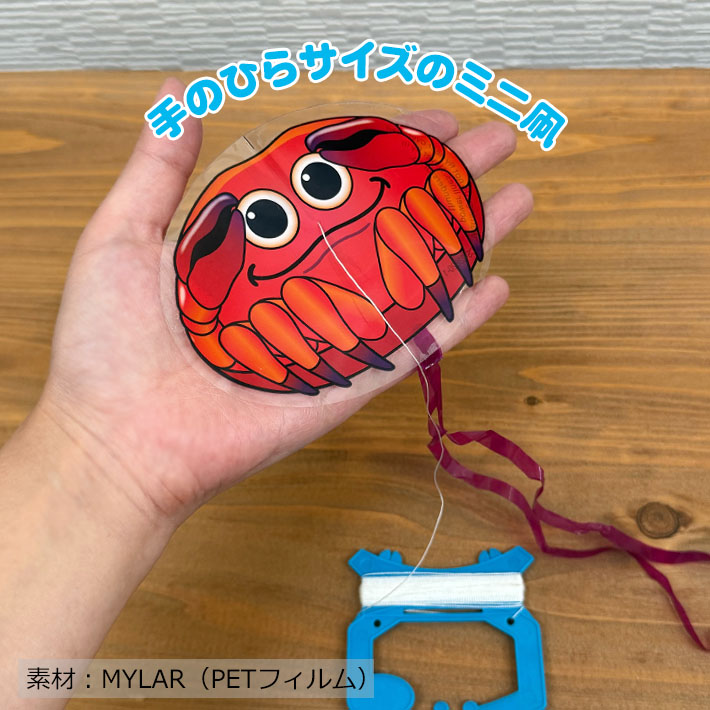 画像2: X-Kites MicroKite【全8種】【メール便OK】