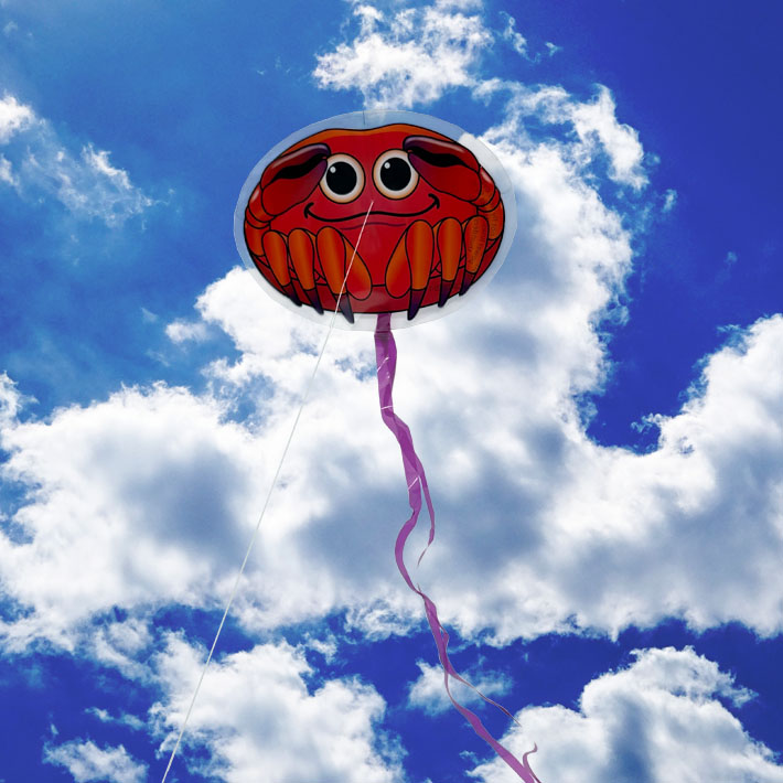 画像9: X-Kites MicroKite【全8種】【メール便OK】